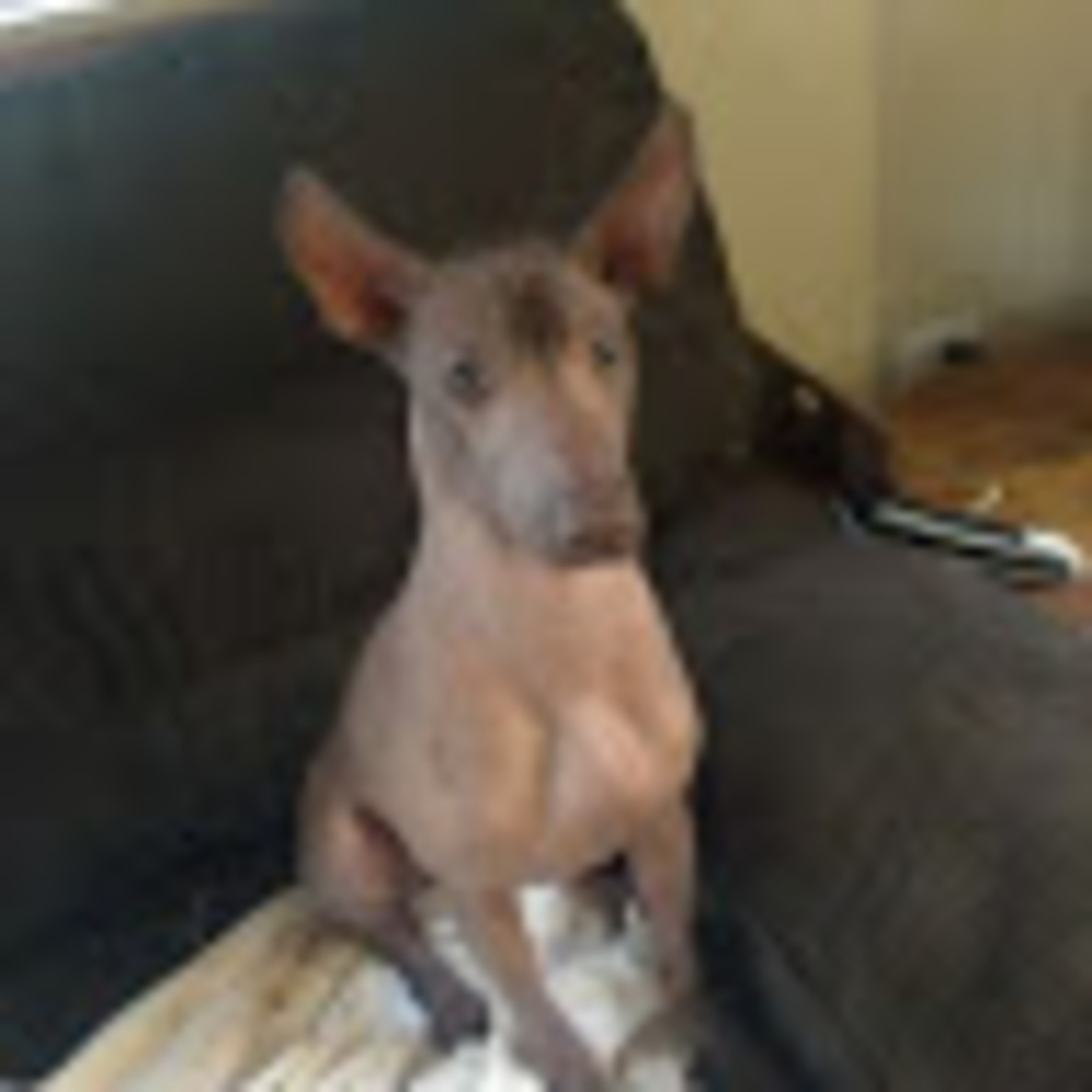 Meet your Posher, Zaine